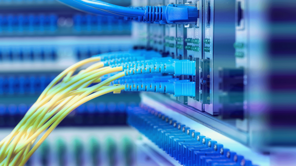 Nahaufnahme eines Rechenzentrums mit eingesteckten blaugelben Kabeln